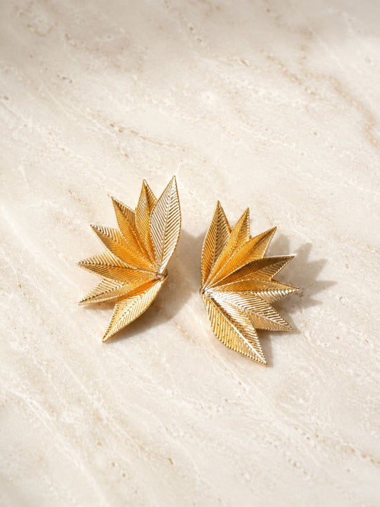 Arete Agave
