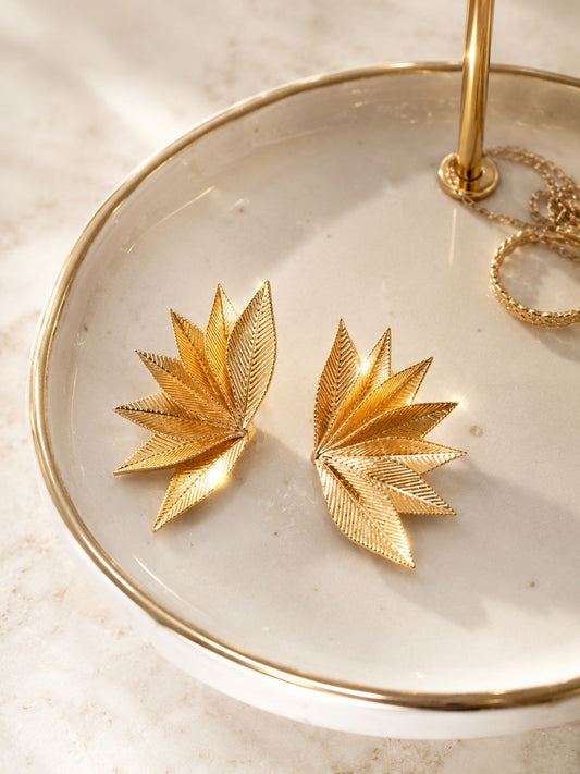 Arete Agave